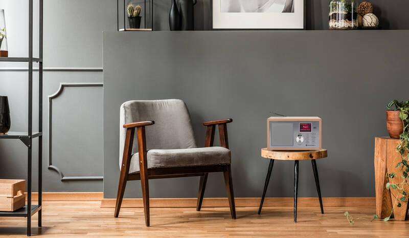 Radiopřijímač s DAB GoGEN DAB 620 BTCS stříbrný hnědý