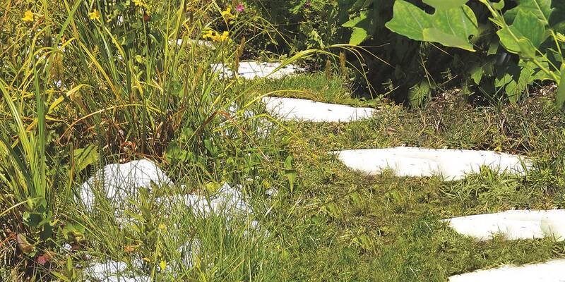 Nůžky na trávu Einhell GC-CG 3,6 Li WT