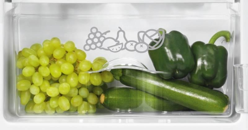 Chladnička Zanussi ZRG11600WA bílá