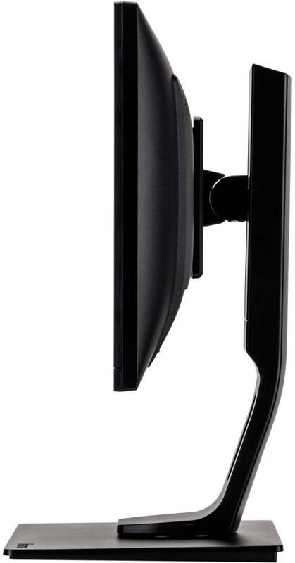 Monitor IIYAMA ProLite B2083HSD-B1 černá