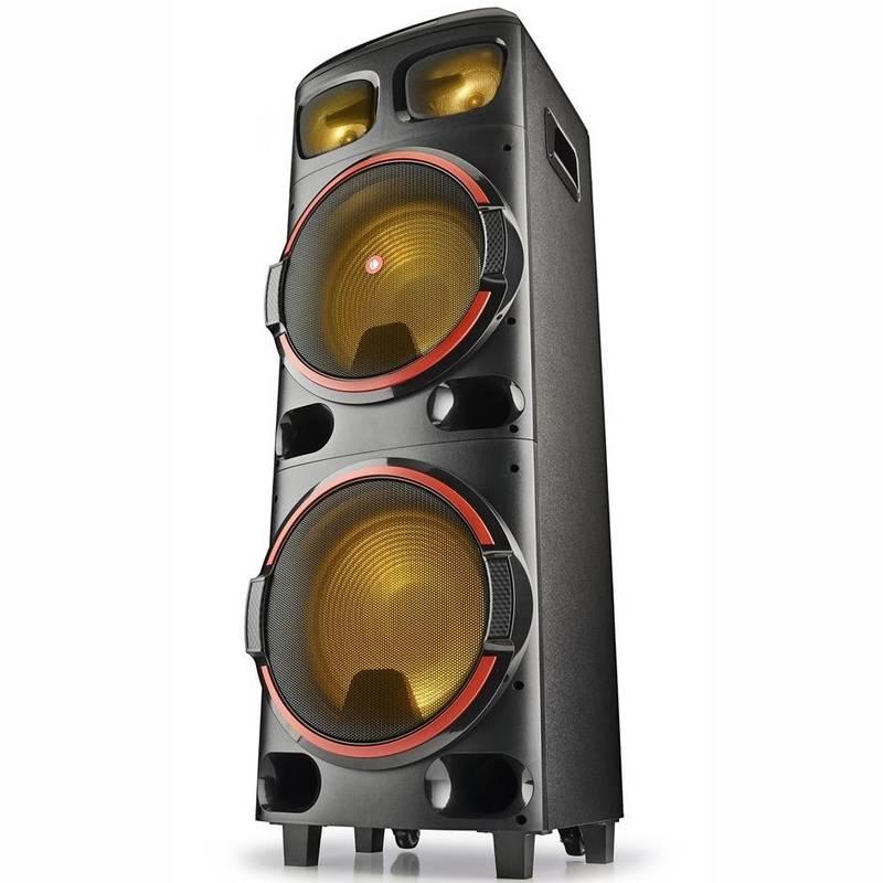 Party reproduktor NGS WILD DUB 2 černý