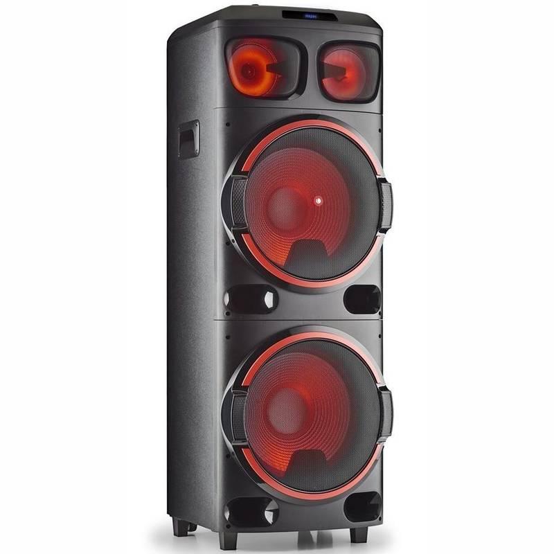 Party reproduktor NGS WILD DUB 3 černý