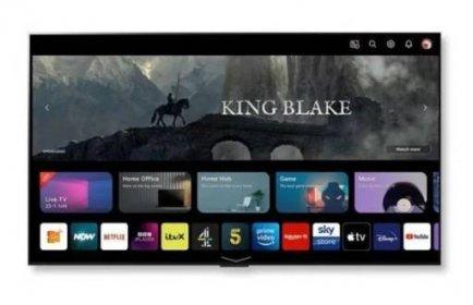 Televize LG OLED 55G33