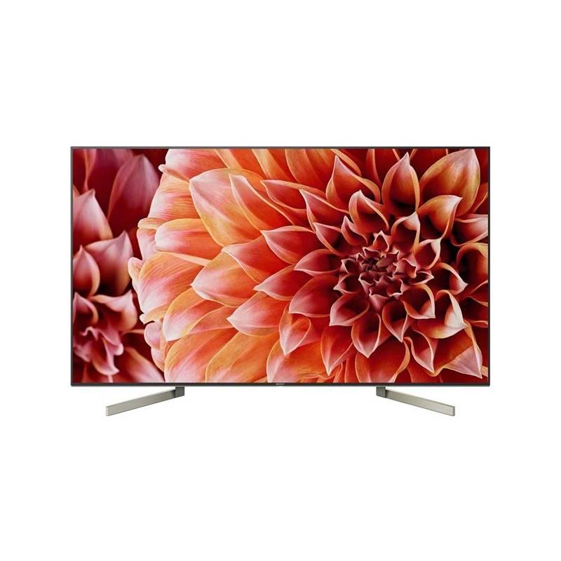 Televize Sony KD-55XF9005 černá