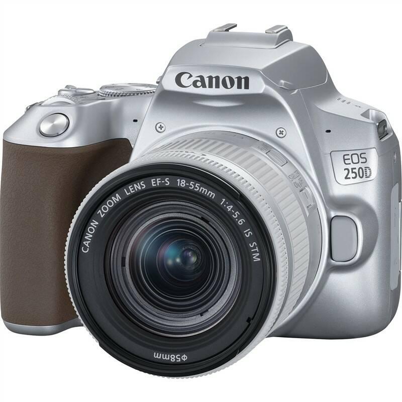 Digitální fotoaparát Canon EOS 250D 18-55 IS STM stříbrný