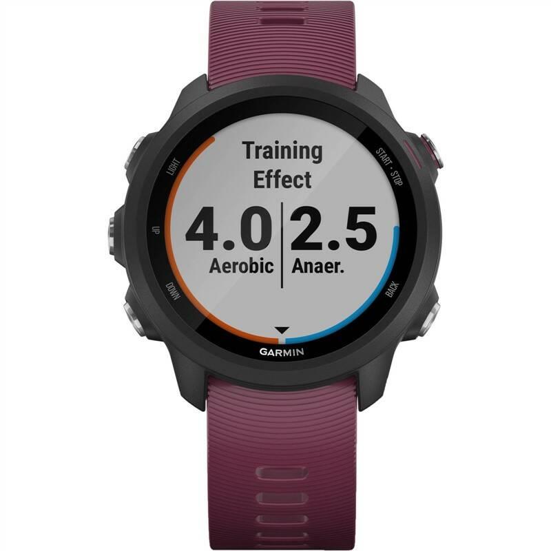 GPS hodinky Garmin Forerunner 245 Optic