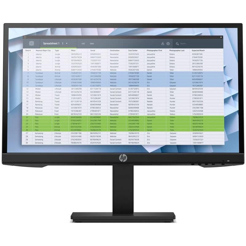Monitor HP P22h G4