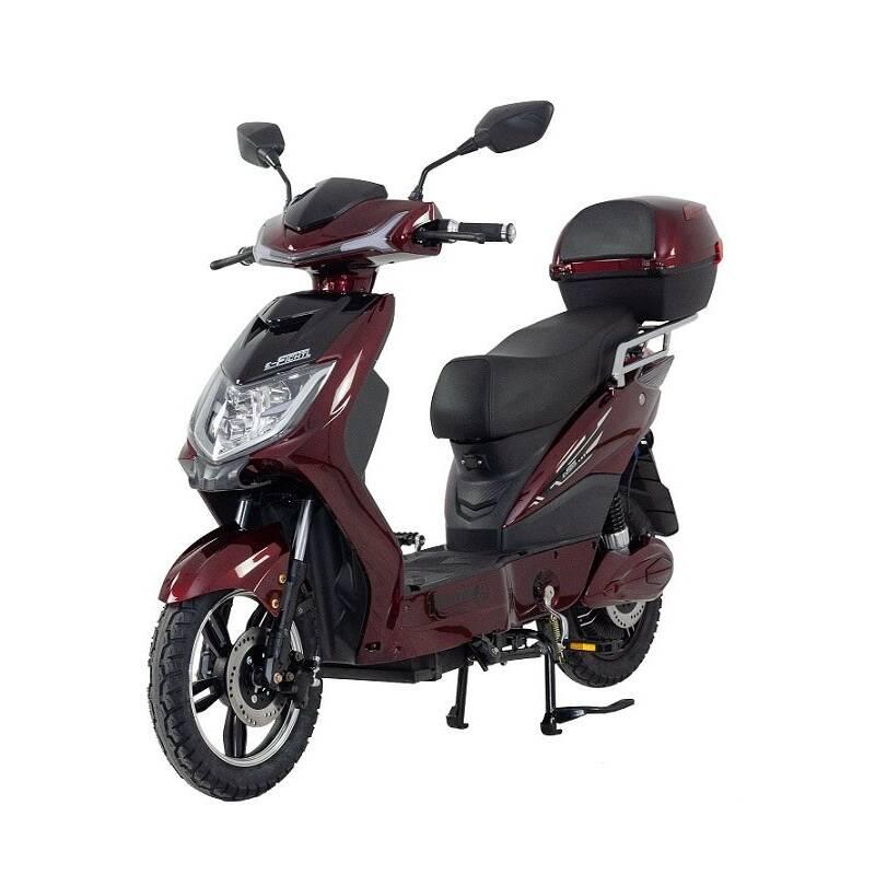 Elektrická motorka RACCEWAY E-FICHTL