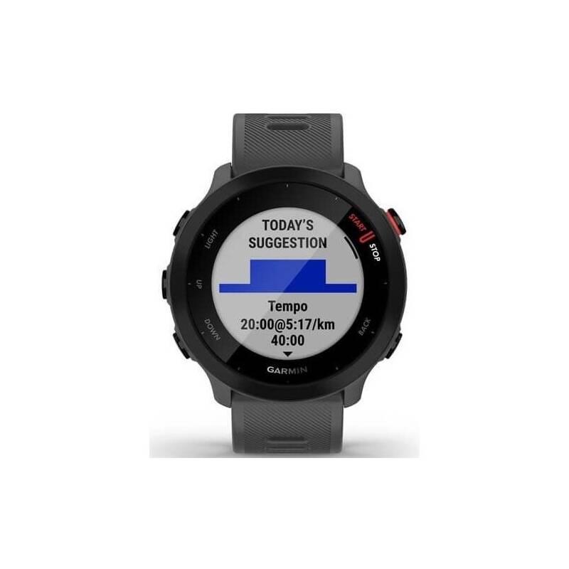 GPS hodinky Garmin Forerunner 55 šedé