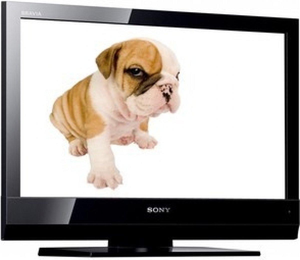 Televizor Sony Bravia KDL-19BX200